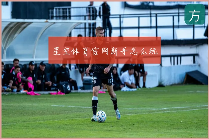 星空体育官网新手怎么玩